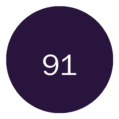 91Logo